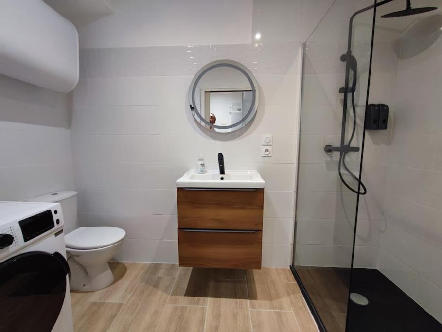 Apartament Jardin Entre Cite Et Bastide Carcassonne Zewnętrze zdjęcie