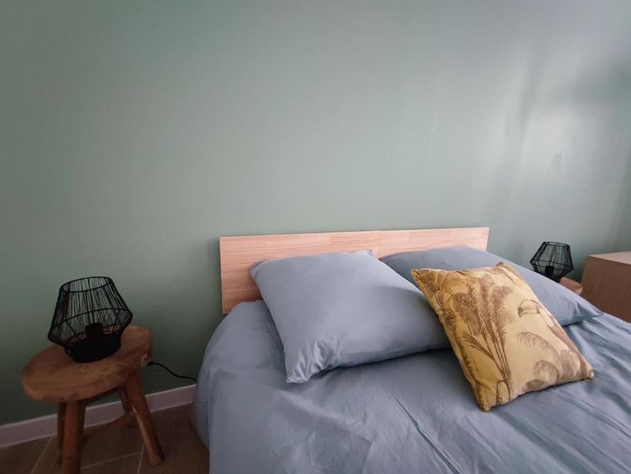 Apartament Jardin Entre Cite Et Bastide Carcassonne Zewnętrze zdjęcie