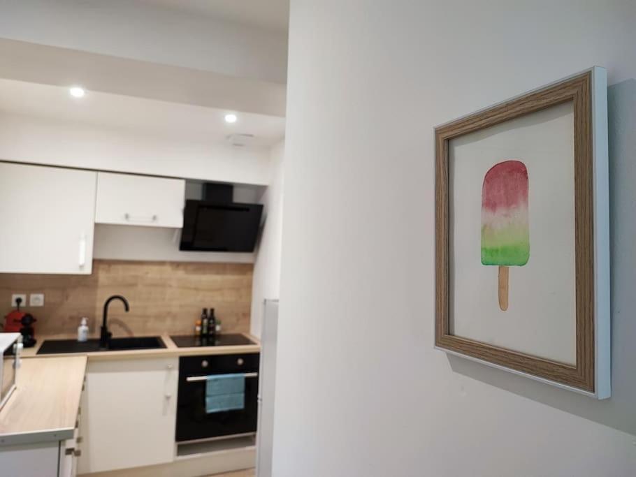 Apartament Jardin Entre Cite Et Bastide Carcassonne Zewnętrze zdjęcie